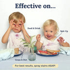 Stain Remover Spray